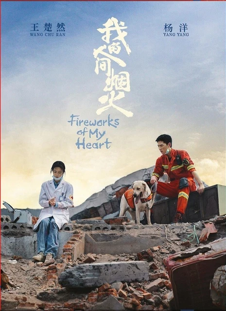 DVD CHINESE DRAMA Fireworks Of My Heart Vol.1-40 End English