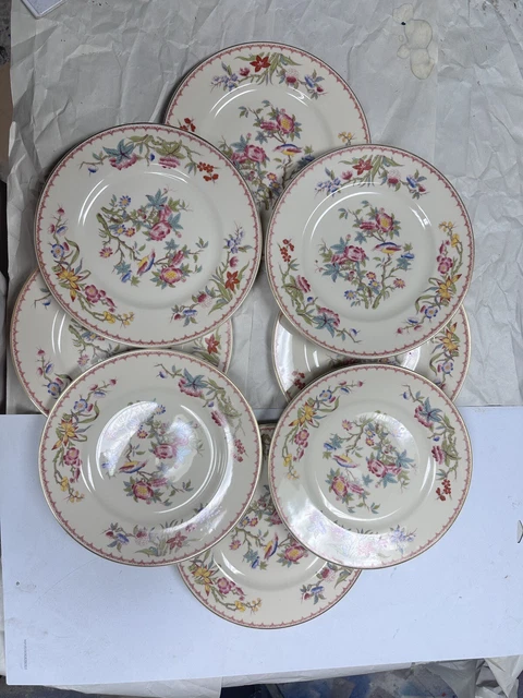 Syracuse China SET OF 8 Old Ivory Bombay 10" Dinner Plates Set of 8 Flowers Bird