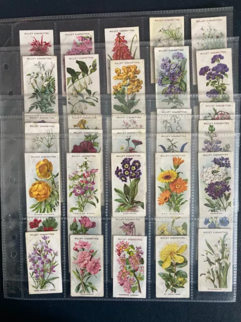 cigarette cards  old English garden flowers 2nd series 1913 full set