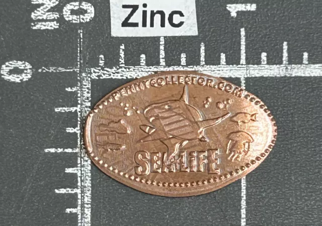 Sea Life Aquarium Tempe Arizona Shark Elongated Pressed Smashed Souvenir Penny