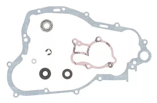 Prox Set Révision Roulements Garnitures Pompe L’ Eau Yamaha YZ 250 1999-2019