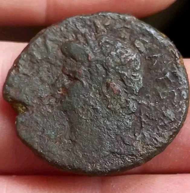 DOMITIAN ROMAN PROVINCIAL ANTIOCH COIN - SC WRETH- Very Nice EUR 18,00 ...