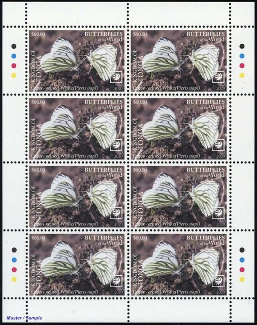 2020, Tonga, 2364-67 KB, ** - 2856032