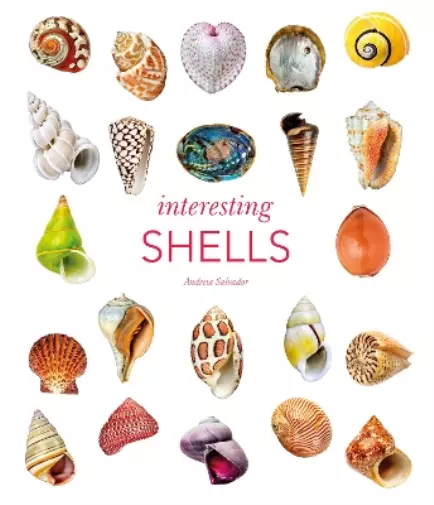 Andreia Salvador Interesting Shells (Tapa dura)