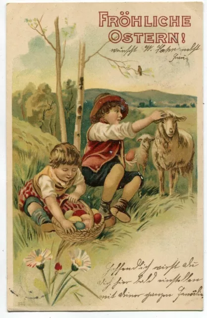 Ak Ostern Kinder suchen Ostereier Lamm Birke Litho 1903
