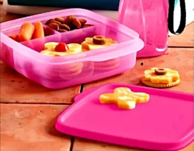 https://www.picclickimg.com/Y9QAAOSwQ-1b3SEn/Tupperware-Lunch-It-Divided-Square-Lunch-Box-Snacks-Sides.webp