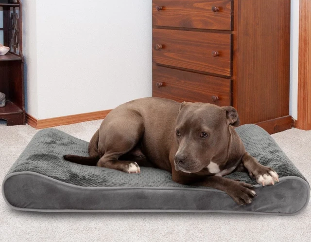 Large Minky Plush Luxe Lounger Cooling Gel Dog Bed with Removable Cover