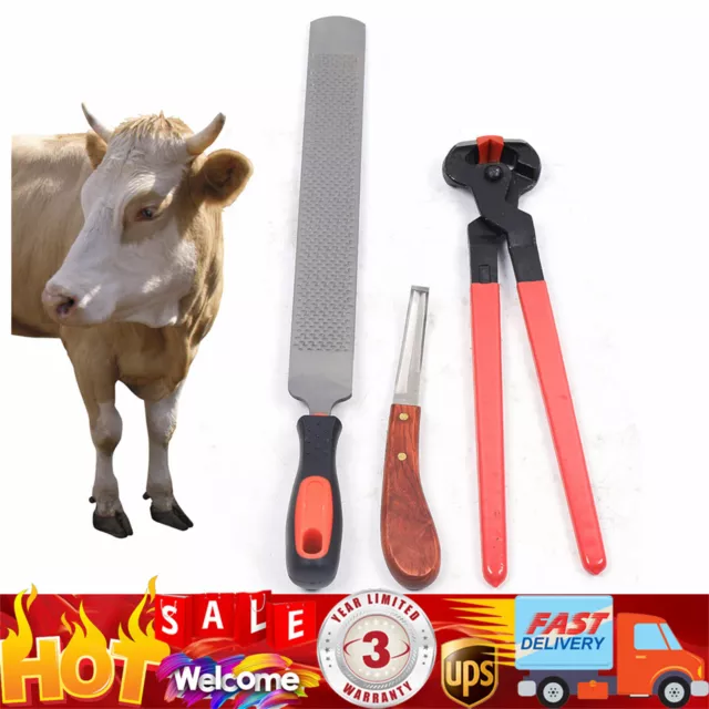 Rasp Cutter Knife 3 in 1 Horse Hoof Trimming Farrier Tool Kit Horseshoe File USA