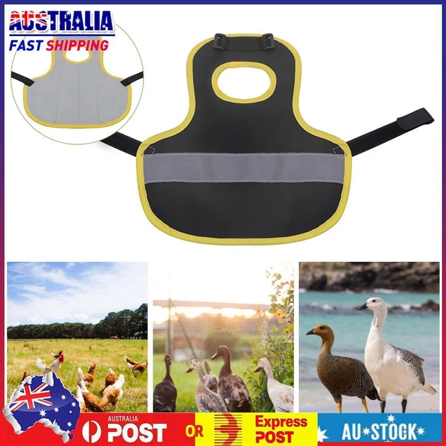 Autumn Winter Chickens Duck Thermal Vest Warm Jackets Chicken Duck Goose Apron