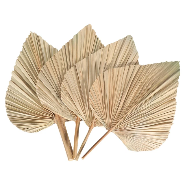 10 Pièces Paillettes Feuilles De Palmier Pailles En Papier Fête