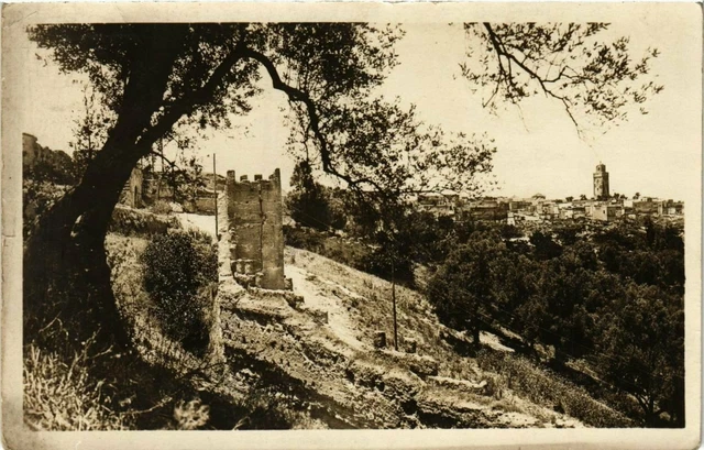 CPA AK MAROC TAZA - La Ville et les Remparts (281092)