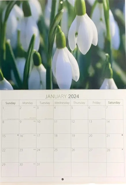 2024 A3 Large Print Calendar Month To View Wall Hanging Planner 7 Column Flowers 3