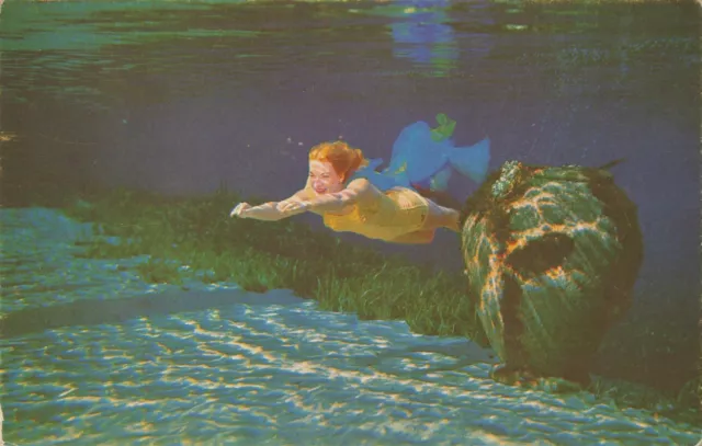 Postcard Woman Model Swimming Under Water Florida Silver Springs