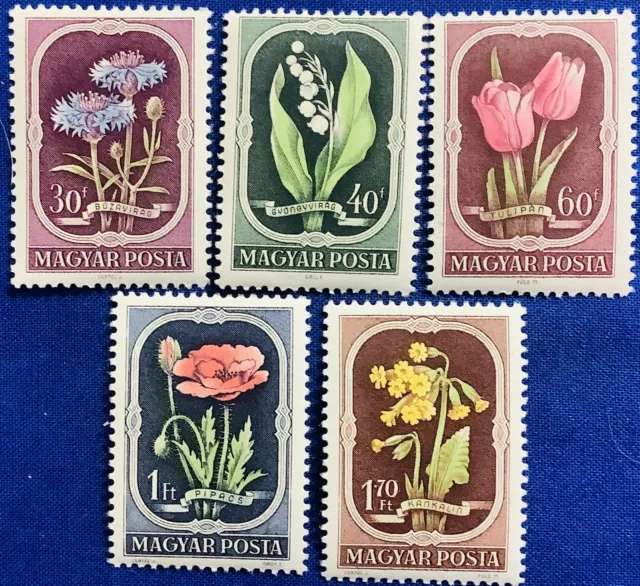 Hungary Stamp Collection Sc#974-978 Flowers 1951 MNH 120323007