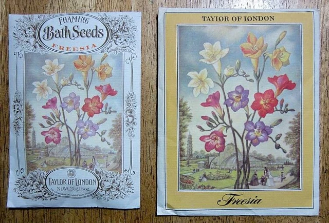 Semillas de baño vintage Taylor of London Fresia y bolsa de cajón perfumada coleccionable