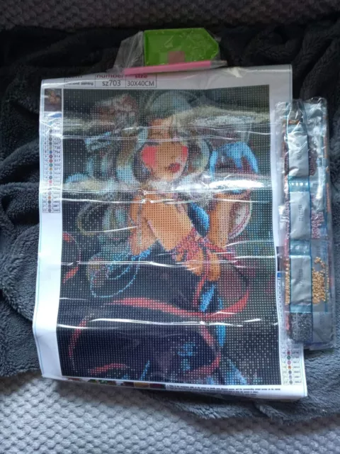 Lady Painting inc Tools  kit  30x40 brand new Bids start at £8  xx