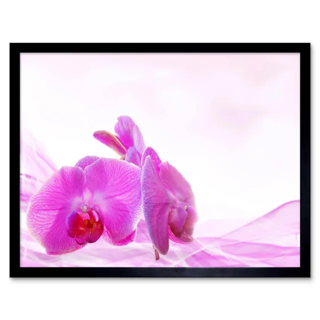Pink Orchid Pretty Flowers 12X16 Inch Framed Art Print