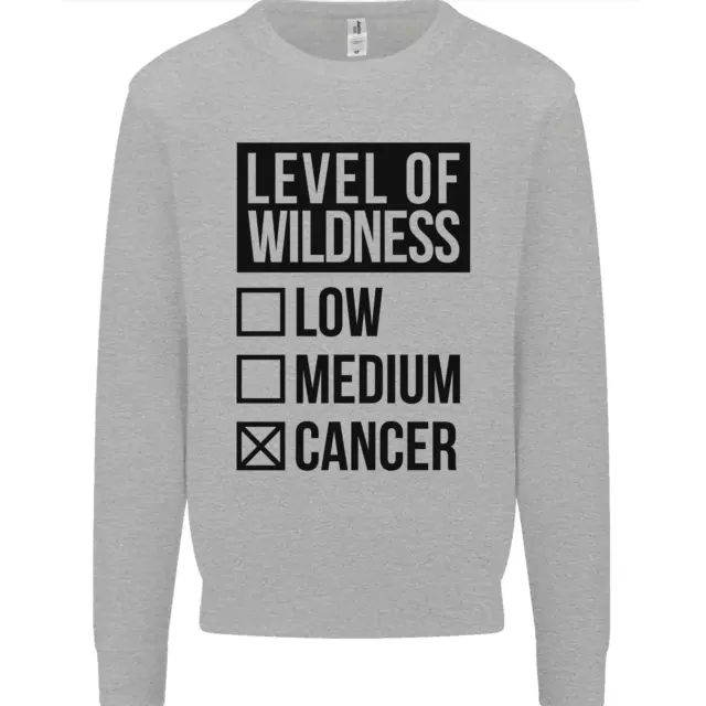 Levels of Wildness Cancer Mens Sweatshirt Jumper