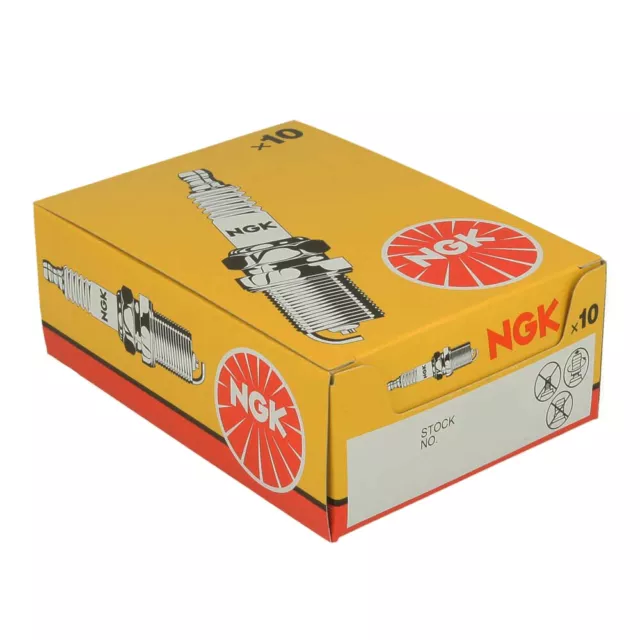 NGK Spark Plugs (Explore the range of NGK Spark Plugs available)