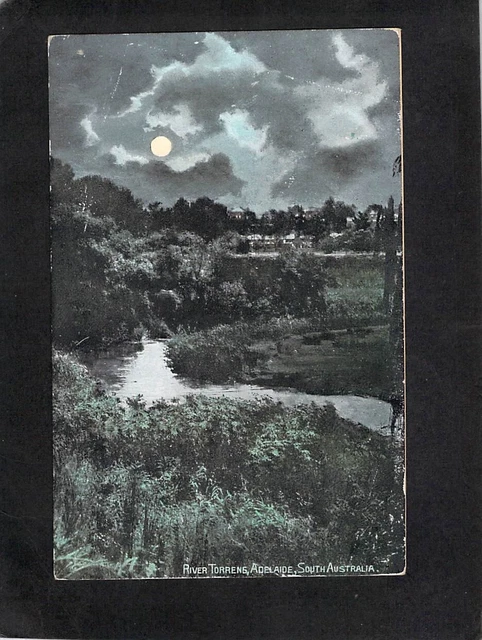 B1324 Australia SA Adelaide River Torrens vintage postcard