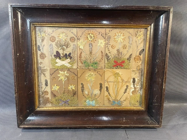 CADRE FLEURS SÉCHÉES des montagnes sous verre Edelweiss EUR 55,00 - FR