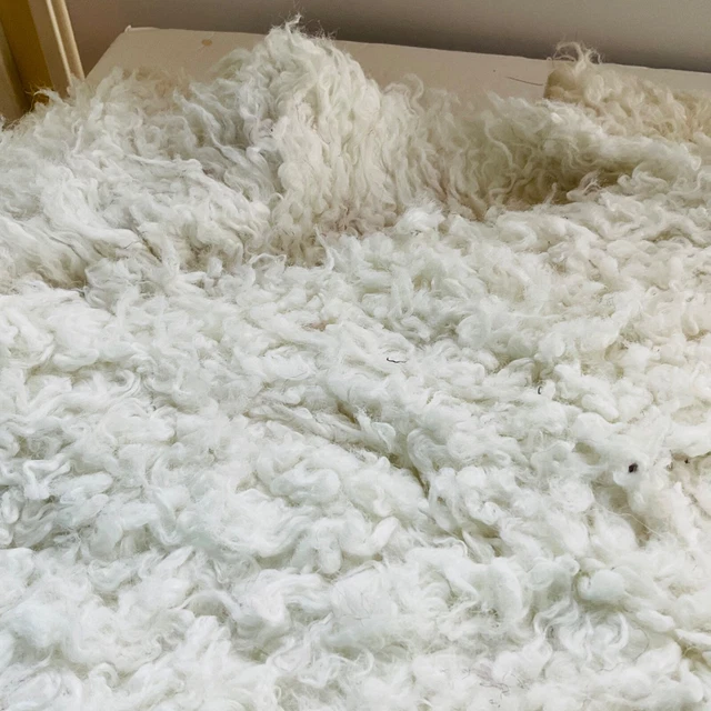 Faux Fur Fabric Piece 64L X 25W White CurlyLuxurious  Thick Soft  Pile Realistic