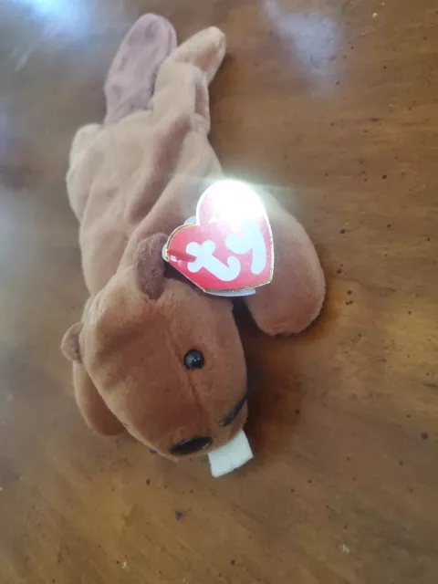 TY Beanie Baby - BUCKY - Retired RARE 1995 w/tags 9"