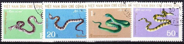 Vietnam,Schlangen 4W