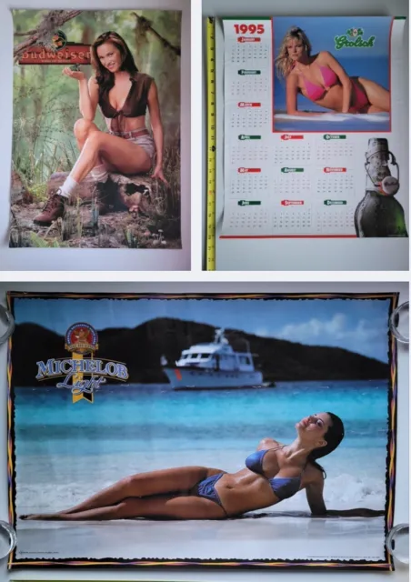 Bikini Carwash Company 2 Poster Movie (27 x 40 Inches - 69cm x 102cm) (1993)