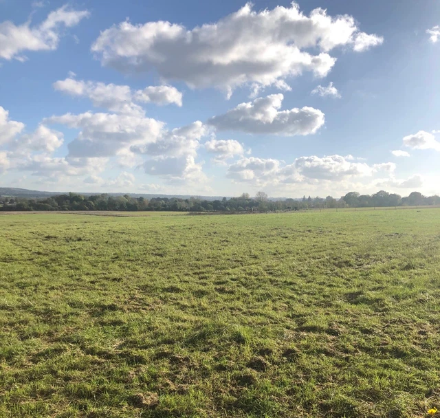 Freehold Orchard for Sale - Sevenoaks, Kent 3