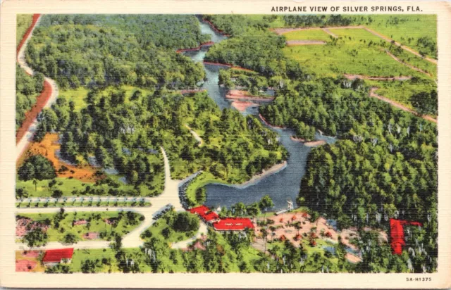 c1935 Silver Springs FL Airplane Aerial View Unused Linen Postcard 932b