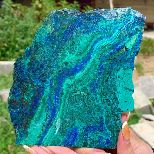 432G Natural rare Phoenix pine healing crystal spirit quartz