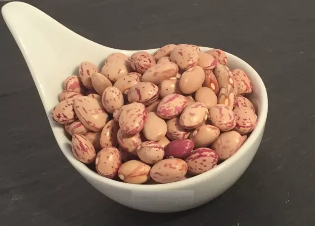 deliziosi fagioli di quaglia essiccati 800 per insalata, pasta e paella