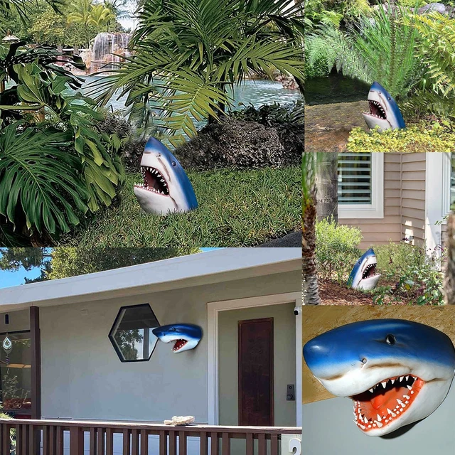 Interesting Great White Hidden In The Grass Probe Raised Platform Bed Frame