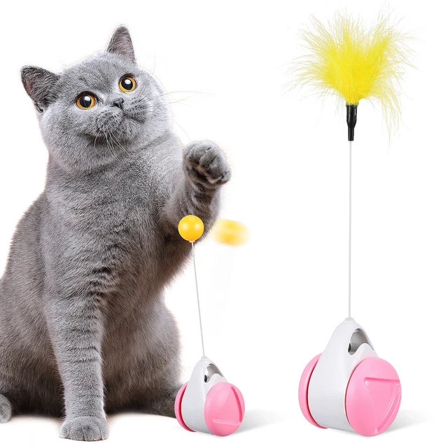 Chat Jouet Jouets Pour Animaux De Compagnie Interactifs Le