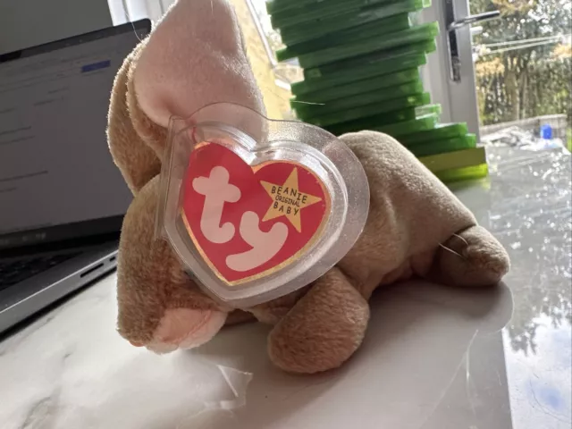 Ty Beanie Babies Nibbly The Rabbit  With Tag In  Plastic Protector