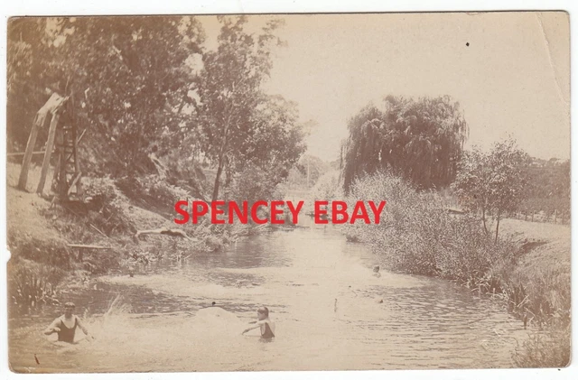 Men SWIMMING RIVER TORRENS ADELAIDE Real Photo Postcard by Savage Burnside c1910