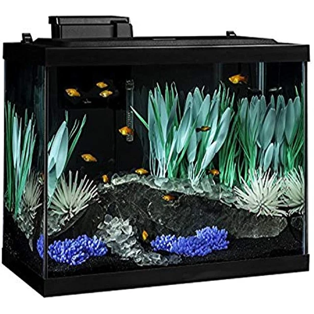 Glass Aquarium 20 Gallon Fish Tank Kit with LED Lighting and Decor Rectangular