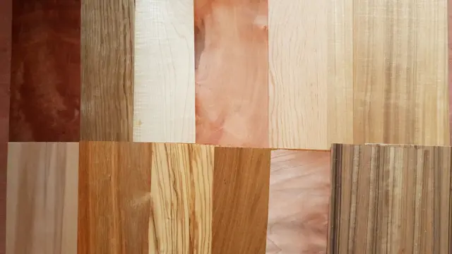 Furnier Set Special 2, bestehend aus 11 verschiedenen Edel Holzarten min.30x20cm