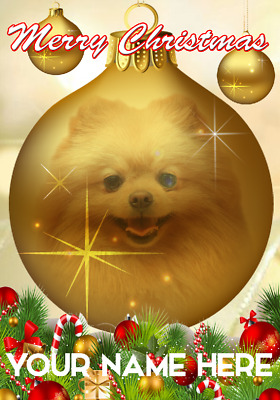 aac 166 Vaso fiori di cane di Pomerania Personalizzato Biglietto di auguri di San Valentino 