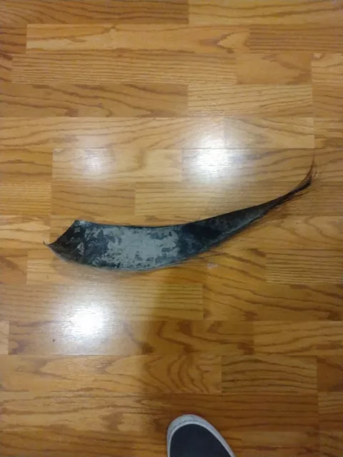 Whale Baleen Approximately 20 Inches In Length, very Rare Amazing Piece!