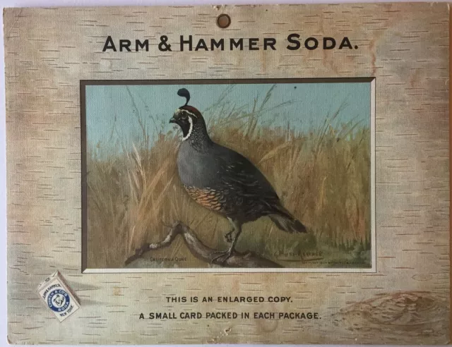 Birds - Arm & Hammer Advertising Card Sign California Quail J3 Game Birds