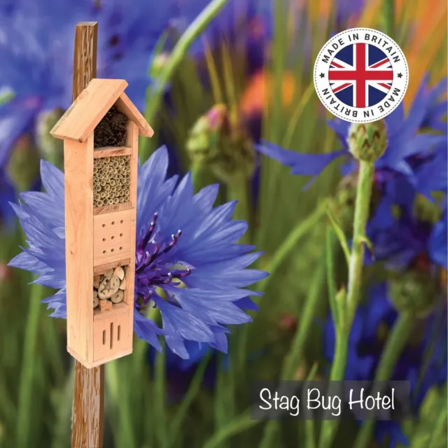 Cierva de vida silvestre y cuidado de aves insecto alto hotel hecho en el Reino Unido de alerce