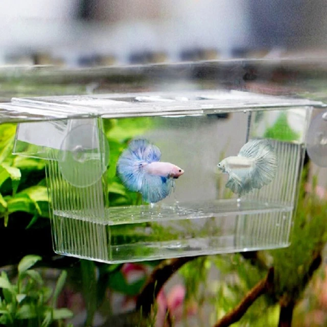Aquarium Fish Breeding Breeder Box Baby Fish Hatchery Isolation Incubator Box