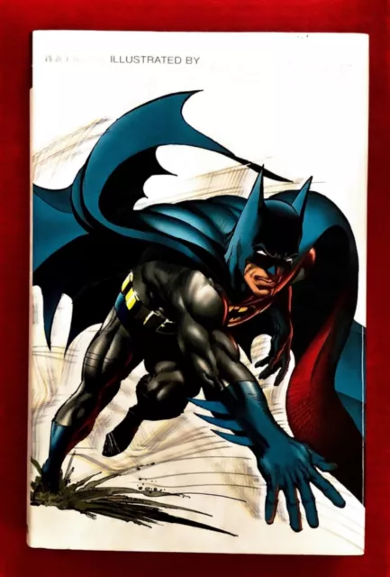 Batman Illustrated Vol 1 Hardback Very Fine/Near Mint Buy Dc Books  Today