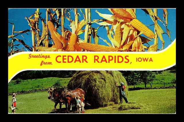 Dr Jim Stamps Us Postcard Greetings From Cedar Rapids Iowa