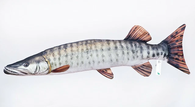Coussin Poisson - Plusieurs Tailles - Cadeau pour Pêcheur ! – La Beaufitude