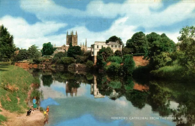 Hereford Cathedral from The River Wye : Vintage Postcard.