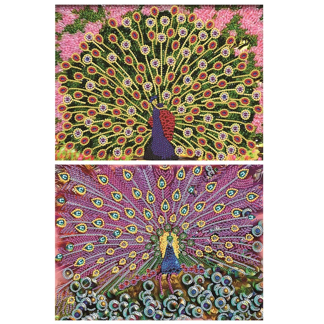 5D Diamond Painting Kit Open Peacock Partial Special Shape Drill DIY Wall Art