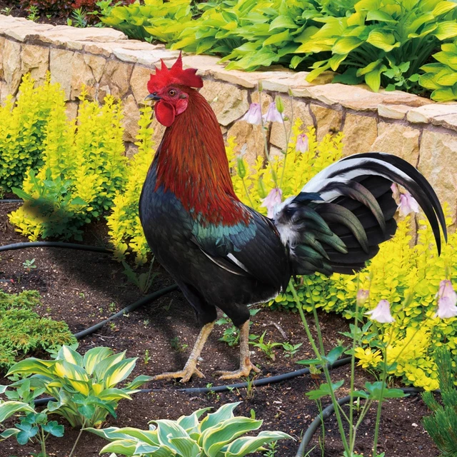 Hahn-Tier-Statue Pfähle Figuren Gartendekoration für